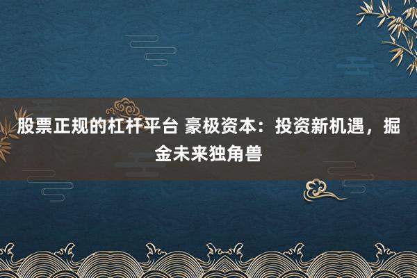 股票正规的杠杆平台 豪极资本：投资新机遇，掘金未来独角兽