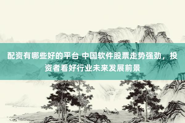 配资有哪些好的平台 中国软件股票走势强劲，投资者看好行业未来发展前景