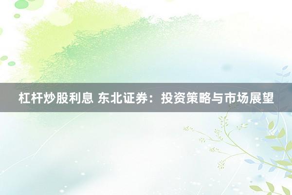 杠杆炒股利息 东北证券：投资策略与市场展望