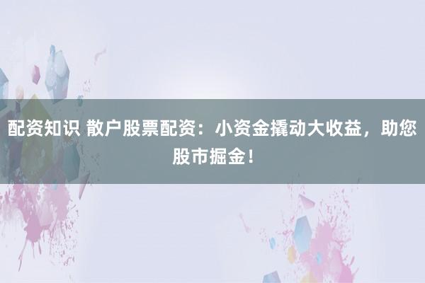配资知识 散户股票配资：小资金撬动大收益，助您股市掘金！