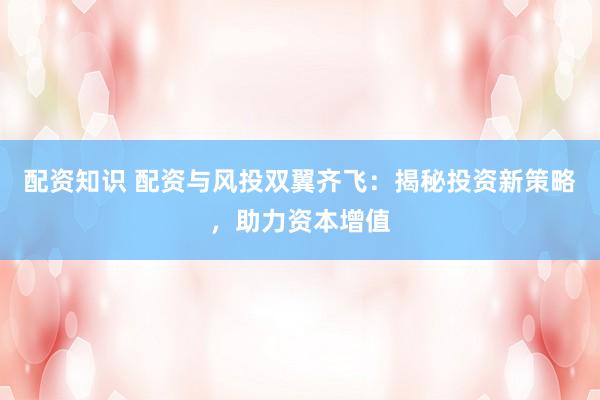 配资知识 配资与风投双翼齐飞：揭秘投资新策略，助力资本增值