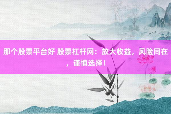 那个股票平台好 股票杠杆网：放大收益，风险同在，谨慎选择！
