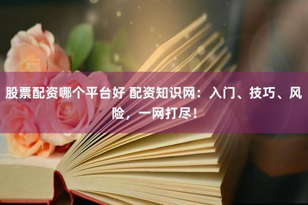 股票配资哪个平台好 配资知识网：入门、技巧、风险，一网打尽！