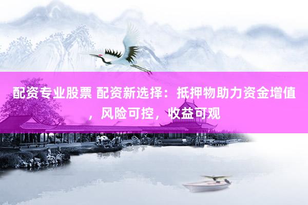 配资专业股票 配资新选择：抵押物助力资金增值，风险可控，收益可观