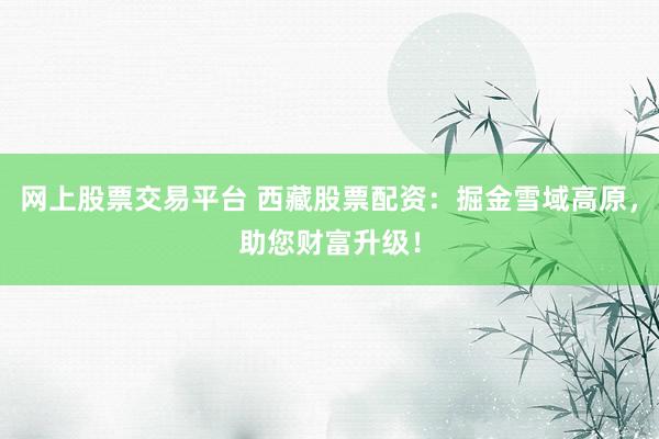 网上股票交易平台 西藏股票配资:掘金雪域高原,助您财富升级!