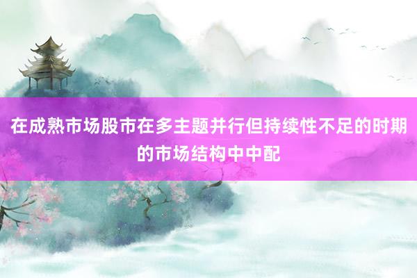 在成熟市场股市在多主题并行但持续性不足的时期的市场结构中中配