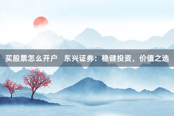 买股票怎么开户 东兴证券:稳健投资,价值之选