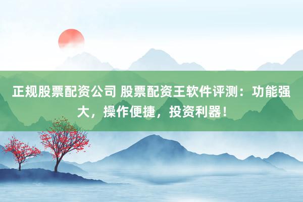 正规股票配资公司 股票配资王软件评测：功能强大，操作便捷，投资利器！